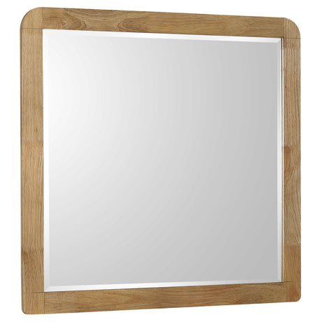 Furniture City Houma - Coaster - Robyn Dresser Mirror Light Ash - 225094
