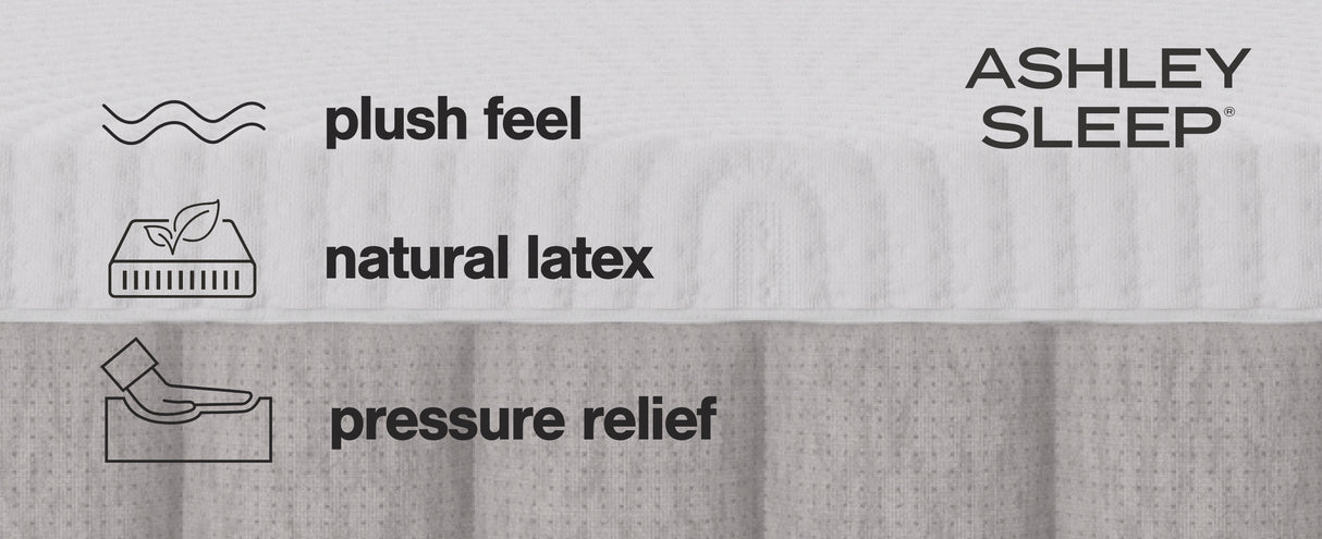 Terra Sleep Soft Queen Mattress