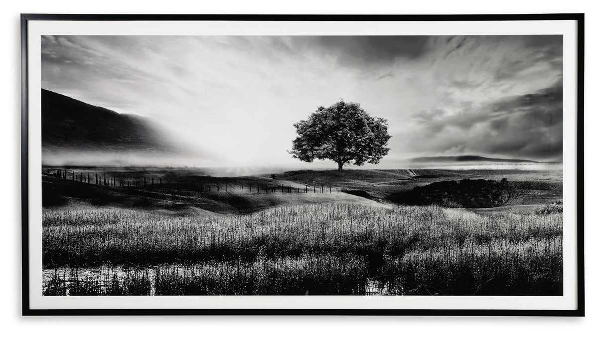 Deborland - Wall Art - Black / White