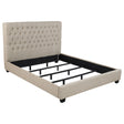 Furniture City Houma - Coaster - Chloe Upholstered California King Panel Bed Oatmeal - 300007KW