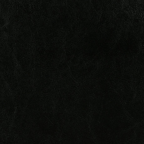Dorian Faux Leather Upholstered Queen Panel Bed Black