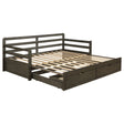 Furniture City Houma - Coaster - Sorrento 2-drawer Twin XL Daybed with Extension Trundle Grey - 305706