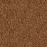 Emilia 2-Piece Sectional Loveseat