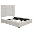 Furniture City Houma - Coaster - Panes Upholstered Queen Panel Bed Beige - 315850Q