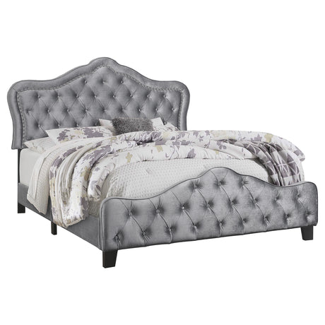 Furniture City Houma - Coaster - Bella Upholstered Eastern King Panel Bed Grey - 315871KE
