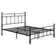 Furniture City Houma - Coaster - Novak 48-inch Metal Queen Open Frame Bed Matte Black - 316001Q