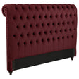 Furniture City Houma - Coaster - Devon 57-inch Upholstered California King Headboard Wine Red - 360341KWB1