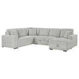 Furniture City Houma - Coaster - Devonshire Sleeper Sectional Sofa Storage Chaise Grey - 501208