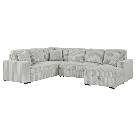 Furniture City Houma - Coaster - Devonshire Sleeper Sectional Sofa Storage Chaise Grey - 501208