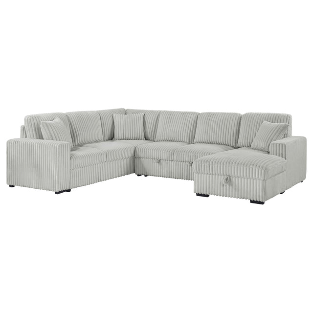 Furniture City Houma - Coaster - Devonshire Sleeper Sectional Sofa Storage Chaise Grey - 501208