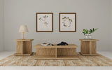 Furniture City Houma - Coaster - Cortona 3-piece Coffee and End Table Set Mango - 706178-S3