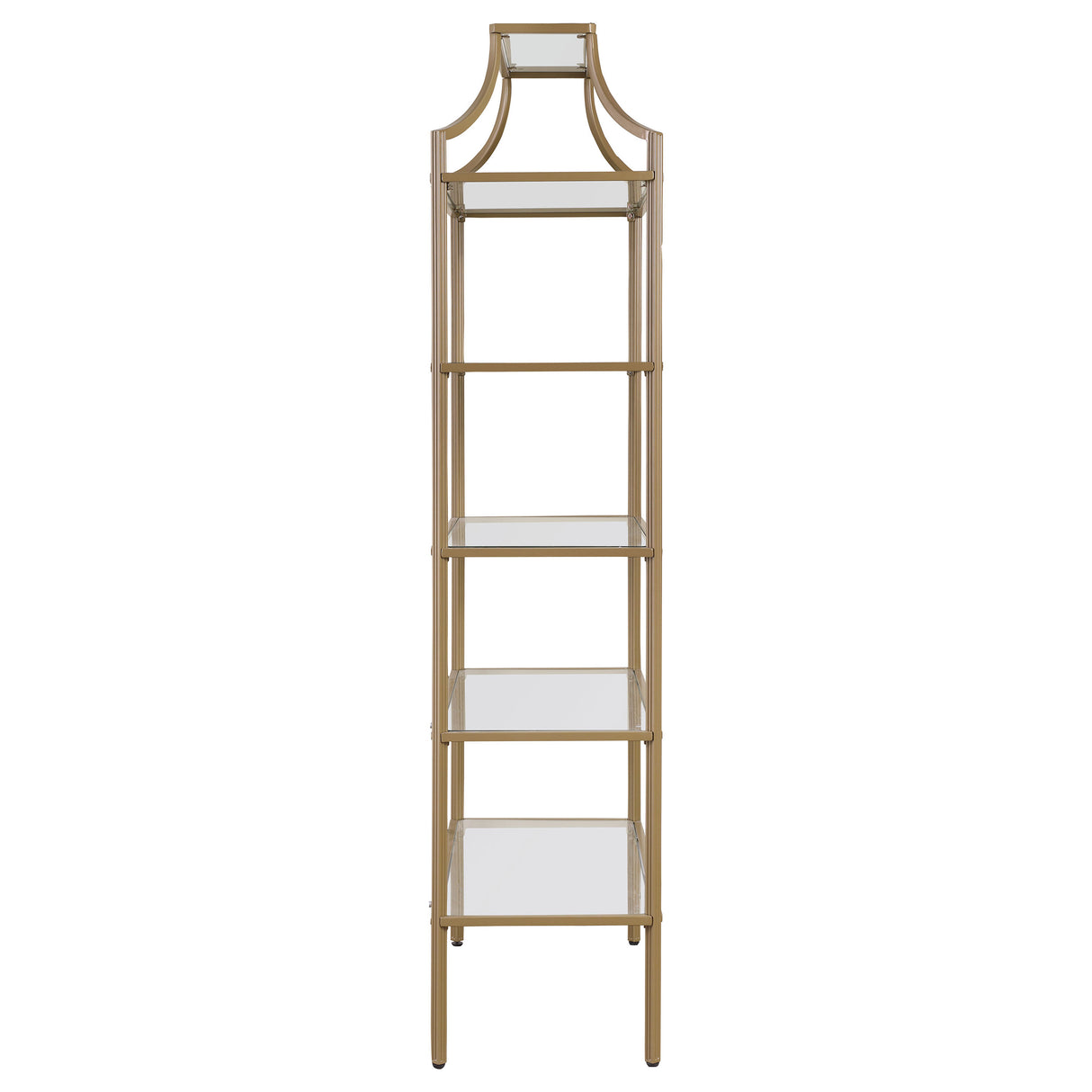 Serena 70-inch 5-shelf Glass Bookshelf Gold