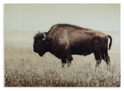 Brutus - Wall Art - Sepia