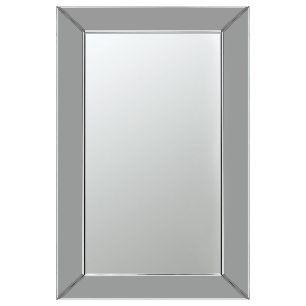 Furniture City Houma - Coaster - Pinciotti 36 x 24 Inch Beveled Frame Wall Mirror Silver - 901783