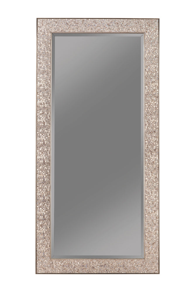 Furniture City Houma - Coaster - Rollins 32 x 66 Inch Rectangular Floor Mirror Silver - 901997
