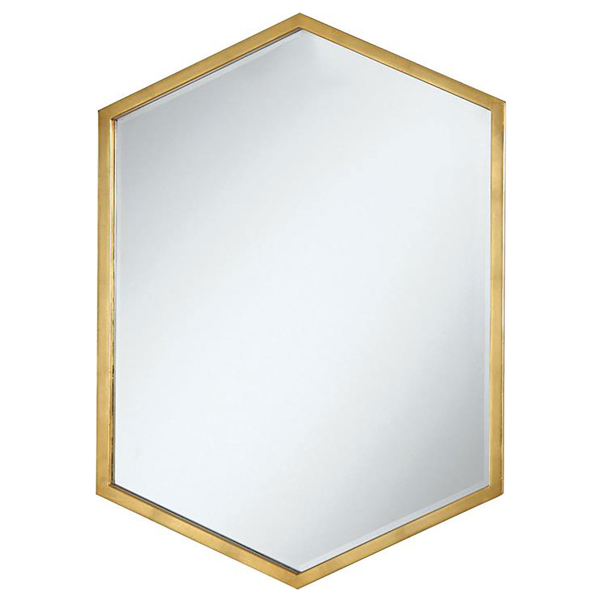 Furniture City Houma - Coaster - Bledel 24 x 34 Inch Hexagonal Wall Mirror Gold - 902356