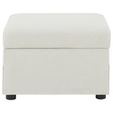 Winter Upholstered Hydraulic Lift Top Storage Ottoman Beige