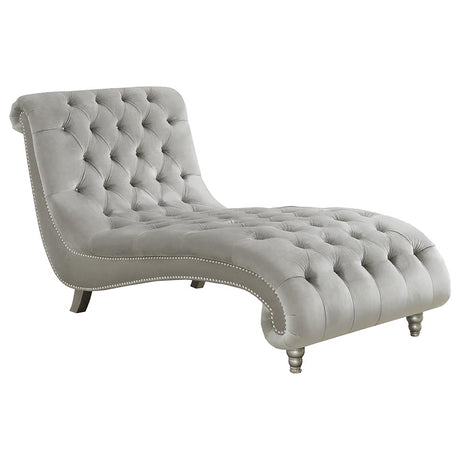 Furniture City Houma - Coaster - Lydia Velvet Upholstered Tufted Chaise Grey - 905468