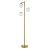 Furniture City Houma - Coaster - Sena 66-inch Spherical Bulb Tree Metal Floor Lamp Gold - 920214