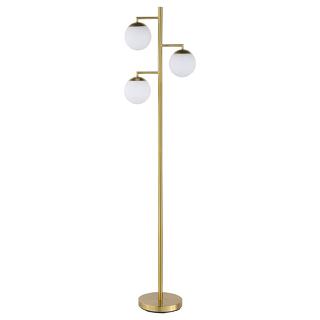 Furniture City Houma - Coaster - Sena 66-inch Spherical Bulb Tree Metal Floor Lamp Gold - 920214