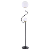Furniture City Houma - Coaster - Dacki 69-inch Dual Spherical Bulb Metal Floor Lamp Black - 920243
