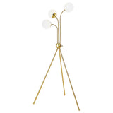 Furniture City Houma - Coaster - Miley 66-inch Spherical Bulb Tripod Tree Floor Lamp Gold - 920293