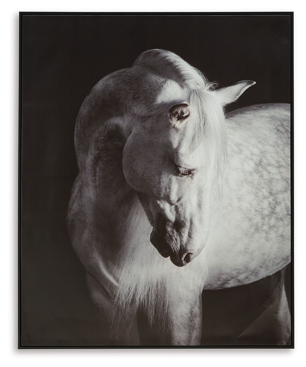 Archerwick - Wall Art - Black / White