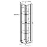 Zahavah 4-shelf Hexagonal Clear Glass Curio Cabinet White