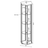 Zahavah 4-shelf Hexagonal Clear Glass Curio Cabinet Black