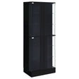 Furniture City Houma - Coaster - Cabra 4-door LED Curio Display Cabinet Black High Gloss - 950398