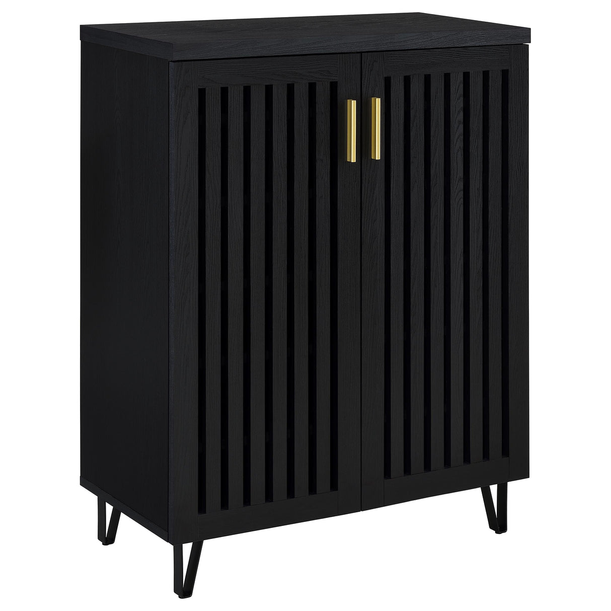 Furniture City Houma - Coaster - Brixton 2-door Entryway Shoe Storage Cabinets Black - 950422