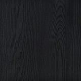 Brixton 2-door Entryway Shoe Storage Cabinets Black