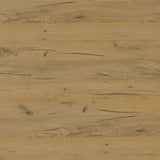 Bristol 6-shelf Engineered Wood Shoe Cabinet Golden Oak