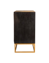 Zara 2-door 40-inch Wood Accent Storage Cabinet Black Walnut