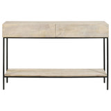 Rubeus 2-drawer Wood Entryway Console Table White Washed