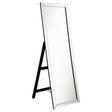 Furniture City Houma - Coaster - Soline 22 x 61 Inch Framed Standing Floor Mirror Silver - 961633