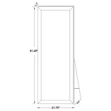 Soline 22 x 61 Inch Framed Standing Floor Mirror Silver