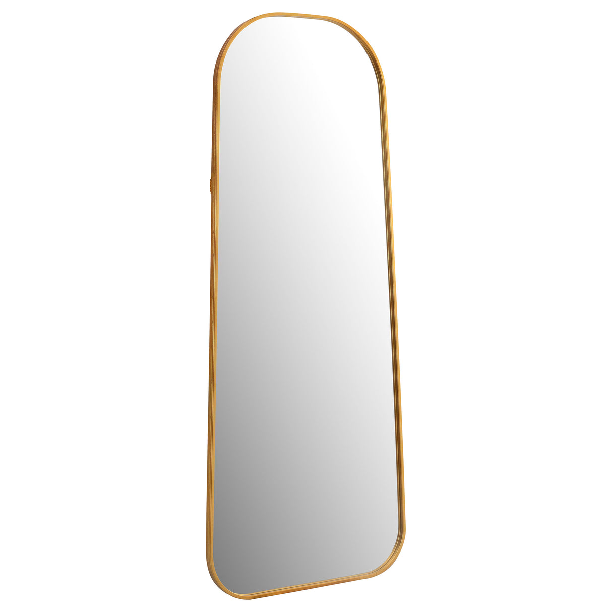 Furniture City Houma - Coaster - Simeon 24 x 59 Inch Full Length Floor Mirror Antique Gold - 962821