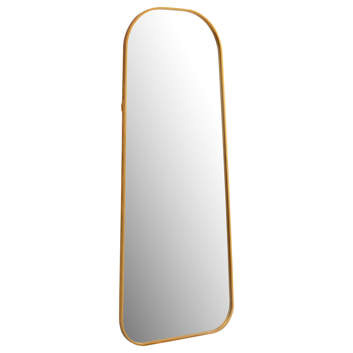 Furniture City Houma - Coaster - Simeon 20 x 52 Inch Full Length Floor Mirror Antique Gold - 962822