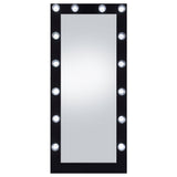 Zayan 32 x 71 Inch Floor Mirror LED Lighting Black Gloss