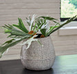 Furniture City Houma - Ashley Furniture - Claymount Vase - Vase / Distressed Brown - A2000636