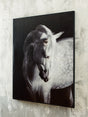 Furniture City Houma - Ashley Furniture - Archerwick Wall Art - Wall Art / Black/White - A8000409