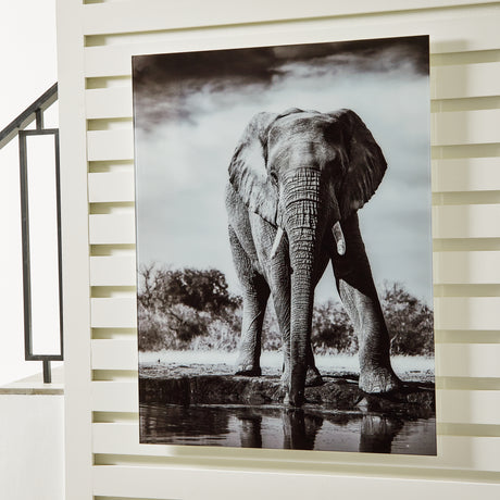 Furniture City Houma - Ashley Furniture - Glinyard Wall Art - Wall Art / Black/White - A8000421