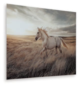 Furniture City Houma - Ashley Furniture - Errolville Wall Art - Wall Art / Multi - A8000489