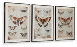 Jossletts Wall Art (Set of 3)