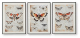 Jossletts Wall Art (Set of 3)