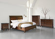 Furniture City Houma - Ashley Furniture - Trellington Queen Sleigh Storage Bed - Queen Sleigh Storage Bed / Brown - B716B1
