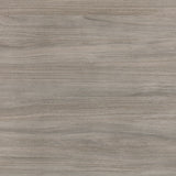 Parellen Dining Chair (Set of 2)