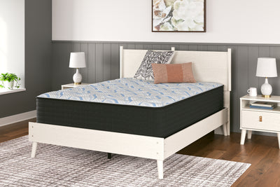 Elite Springs Plush Mattresses