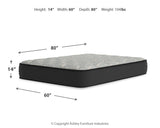 Palisades Firm Mattresses